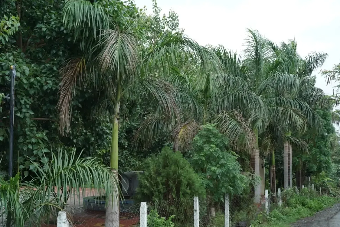 लोकसहभागातून घडलेले विकासाचे प्रेरणादायी उदाहरण...